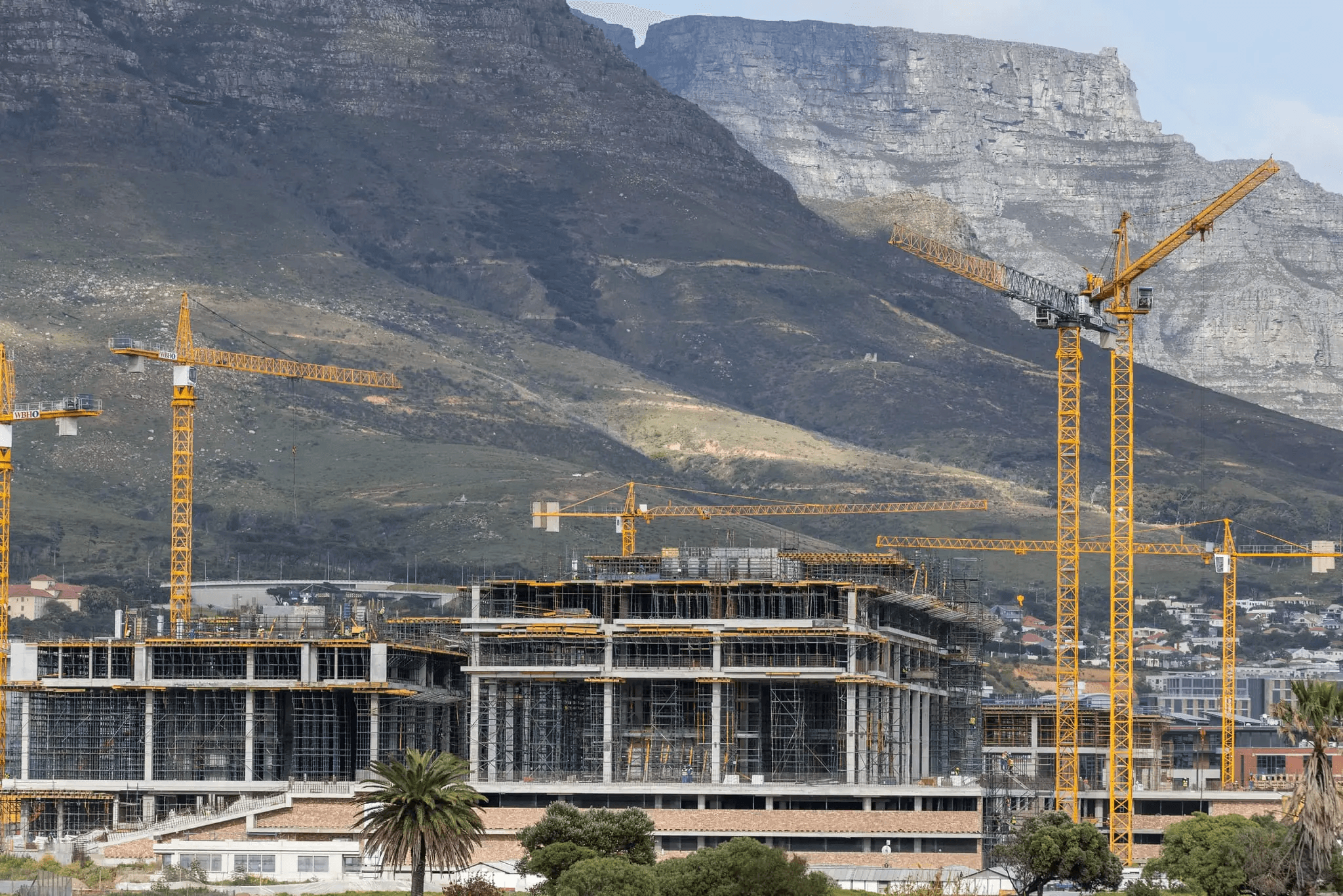Wakha, Construction Management