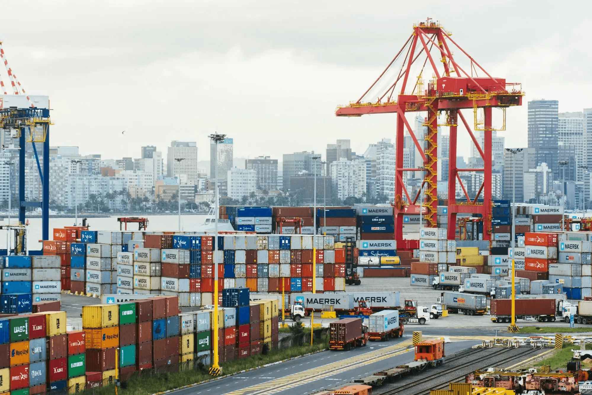 Thwala, Logistics & Transport TMS